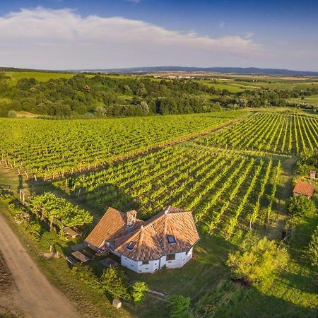 Robinson Vila Kitokret Kutjevo المظهر الخارجي الصورة