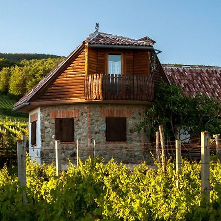 Robinson Vila Kitokret Kutjevo المظهر الخارجي الصورة