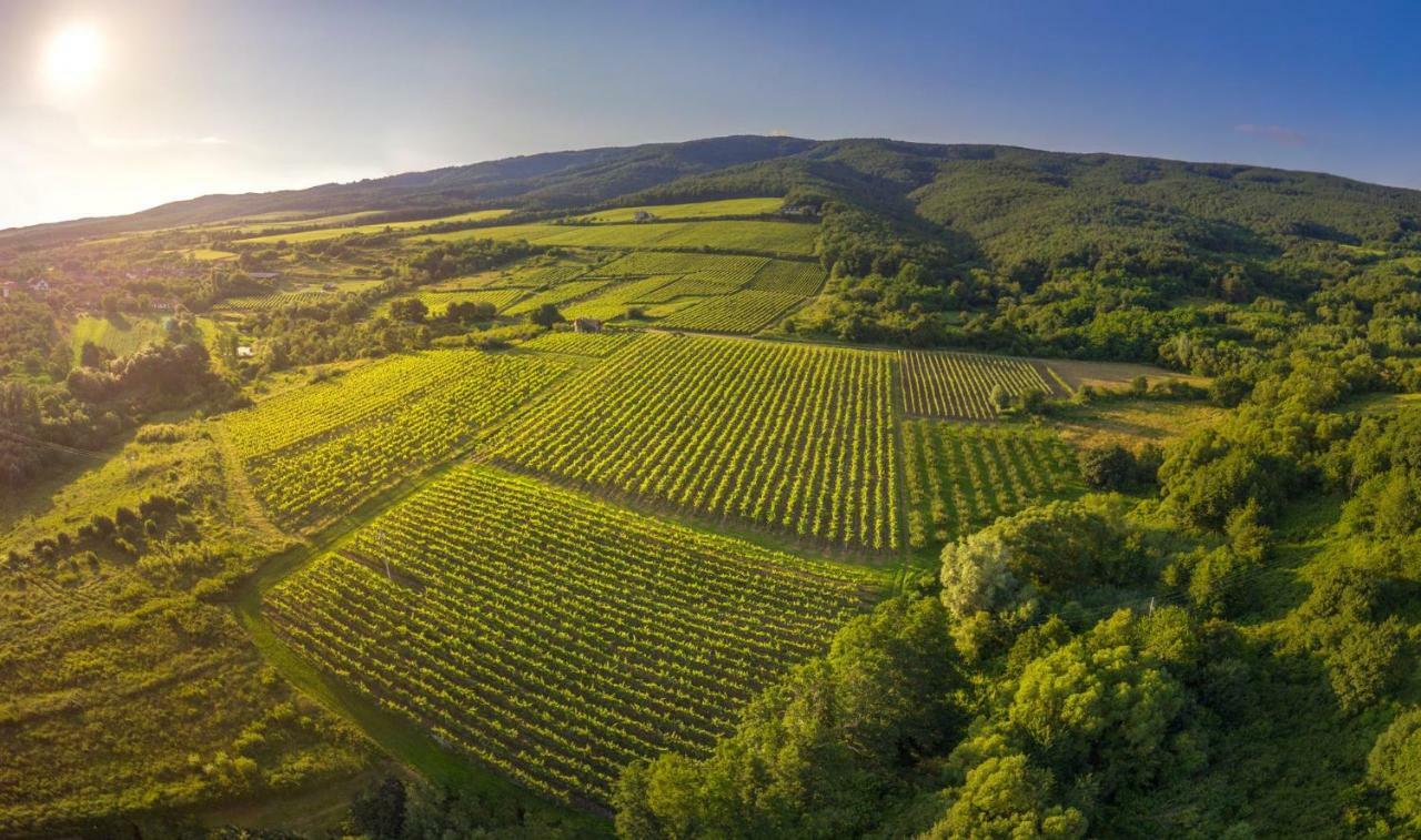 Robinson Vila Kitokret Kutjevo المظهر الخارجي الصورة