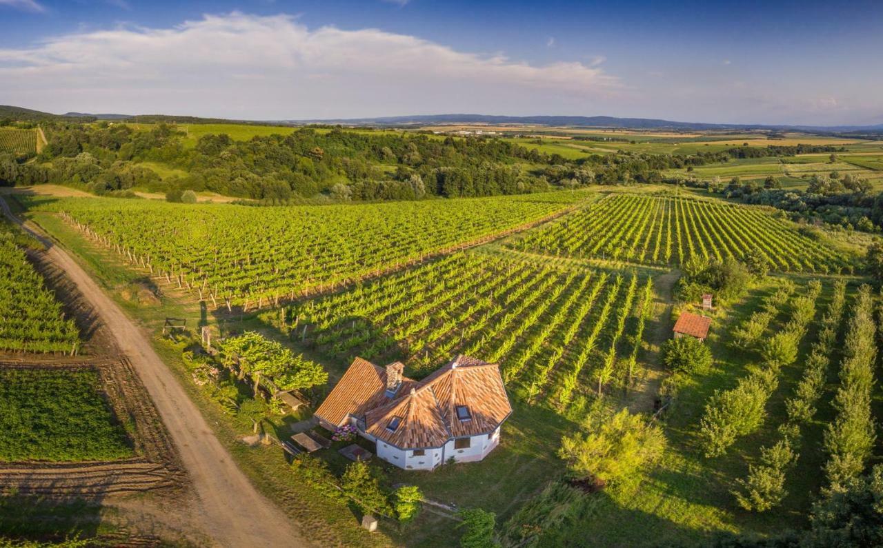Robinson Vila Kitokret Kutjevo المظهر الخارجي الصورة