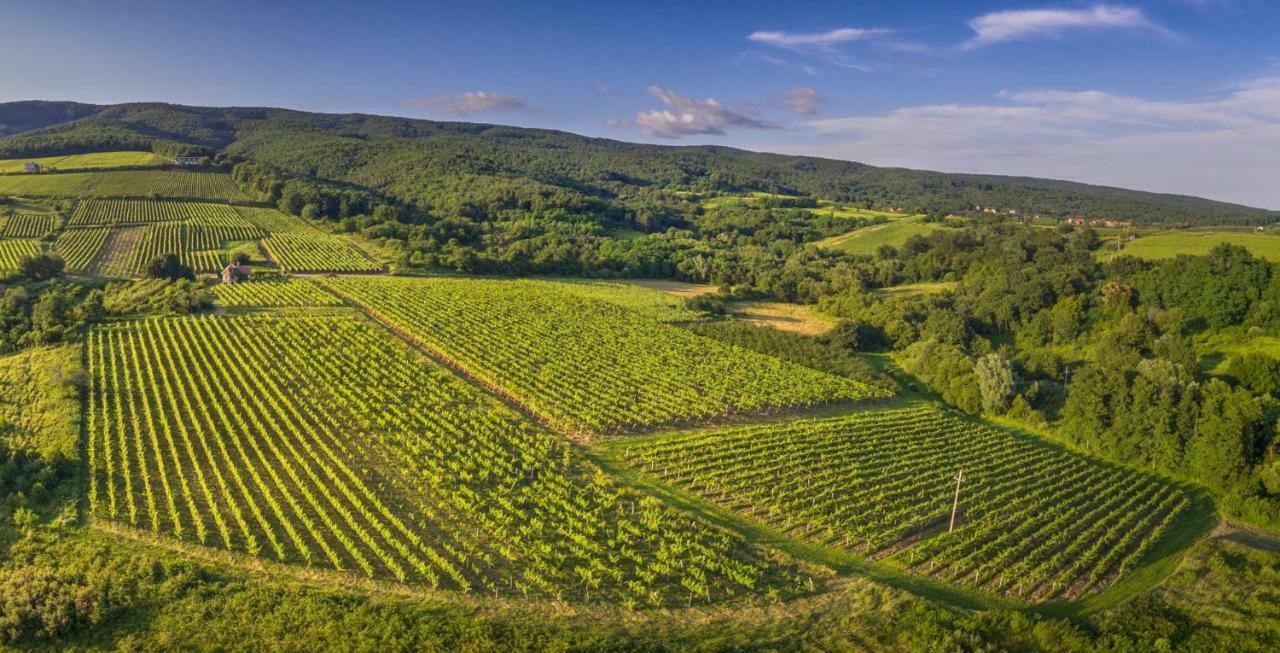 Robinson Vila Kitokret Kutjevo المظهر الخارجي الصورة