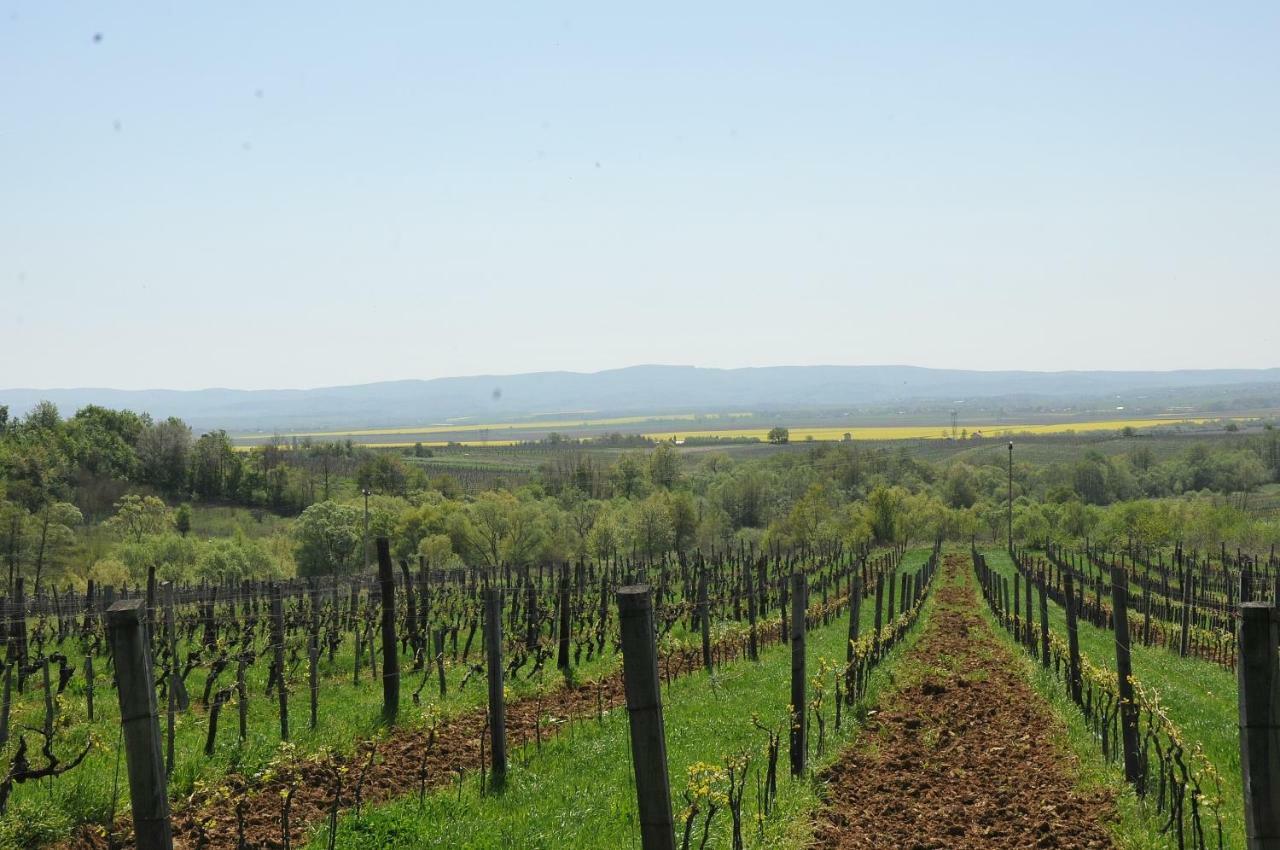 Robinson Vila Kitokret Kutjevo المظهر الخارجي الصورة