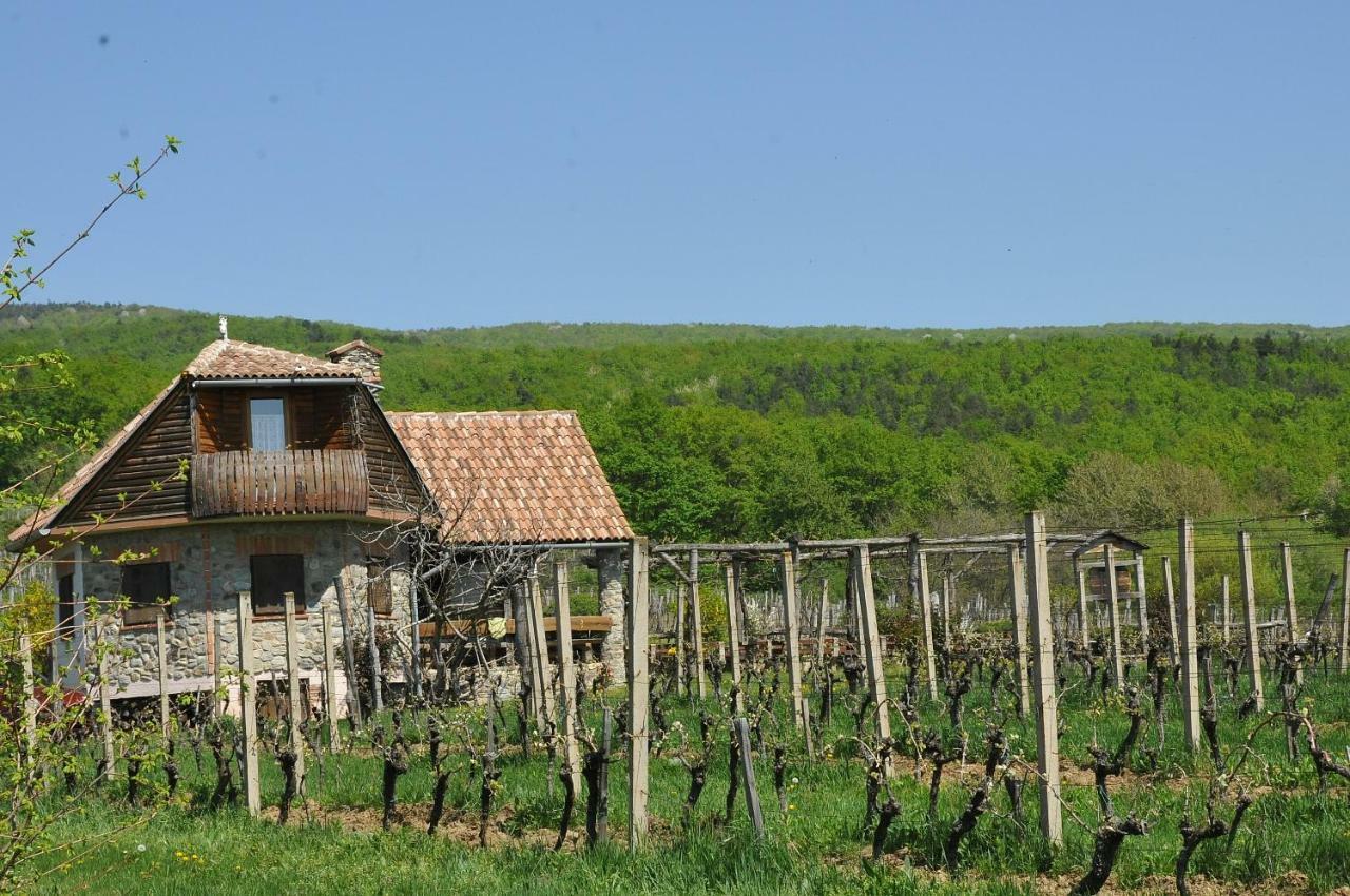 Robinson Vila Kitokret Kutjevo المظهر الخارجي الصورة