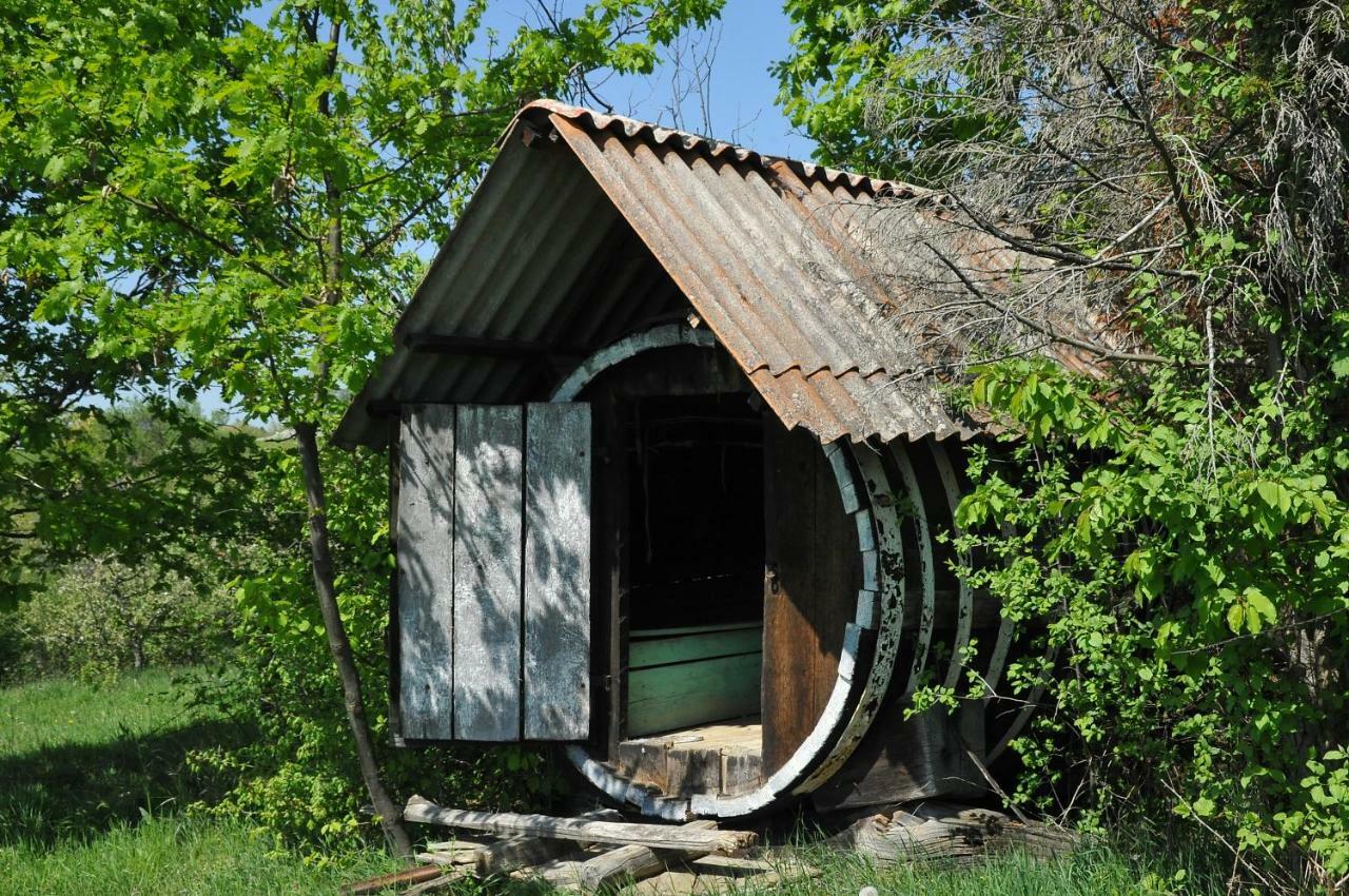 Robinson Vila Kitokret Kutjevo المظهر الخارجي الصورة